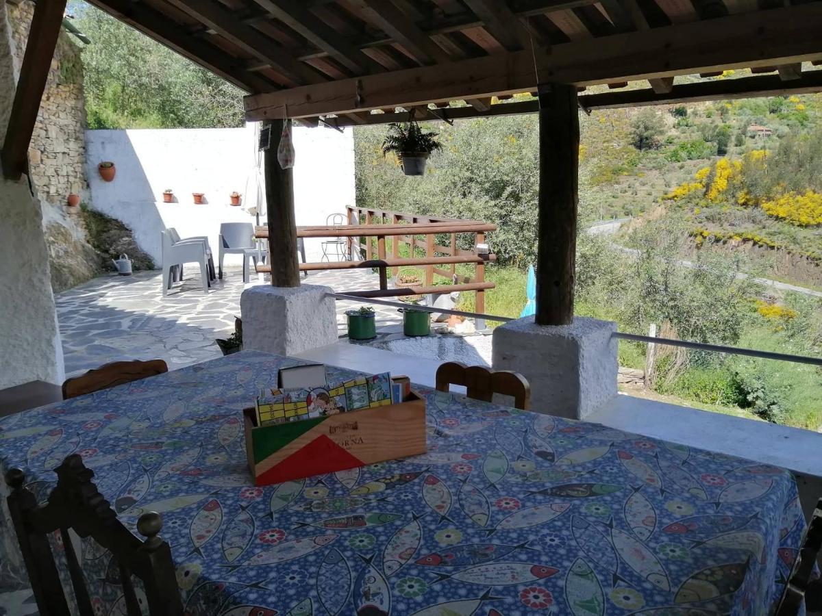 Casa Do Alto - Benfeita Bed & Breakfast Eksteriør bilde