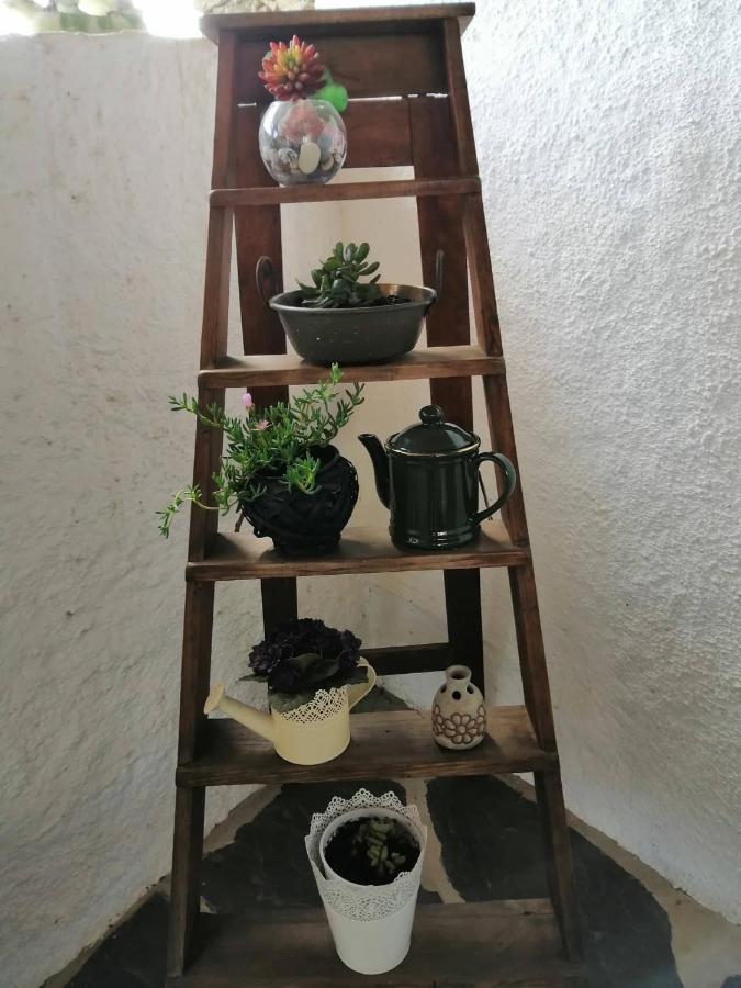 Casa Do Alto - Benfeita Bed & Breakfast Eksteriør bilde